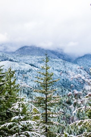 Обои горы, снег, зима, пейзаж, туман, mountains, snow, winter, landscape, fog разрешение 2000x1335 Загрузить