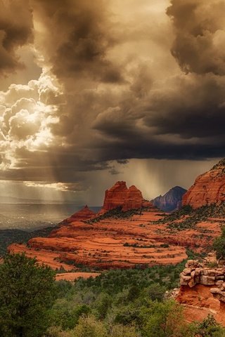 Обои небо, свет, облака, деревья, скалы, каньон, дождь, the sky, light, clouds, trees, rocks, canyon, rain разрешение 1920x1200 Загрузить