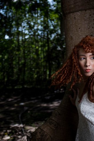 Обои природа, дерево, девушка, рыжеволосая, nature, tree, girl, redhead разрешение 4896x3264 Загрузить