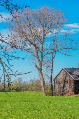 Обои деревья, пейзаж, поле, дом, trees, landscape, field, house разрешение 2880x1917 Загрузить