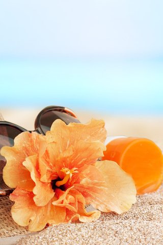 Обои цветы, море, песок, пляж, лето, очки, отдых, шляпа, flowers, sea, sand, beach, summer, glasses, stay, hat разрешение 6022x4000 Загрузить