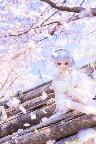 Обои ступеньки, блондинка, лепестки, игрушка, кукла, весна, сакура, steps, blonde, petals, toy, doll, spring, sakura разрешение 2048x1365 Загрузить