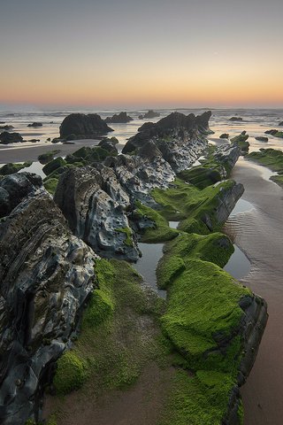 Обои скалы, камни, море, пляж, водоросли, rocks, stones, sea, beach, algae разрешение 2048x1364 Загрузить