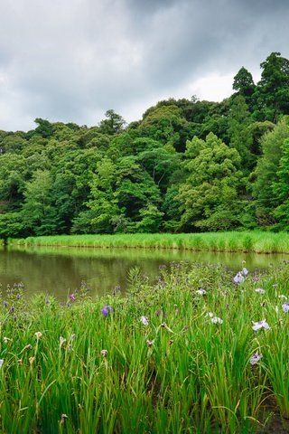 Обои цветы, деревья, озеро, пейзаж, flowers, trees, lake, landscape разрешение 2880x1922 Загрузить