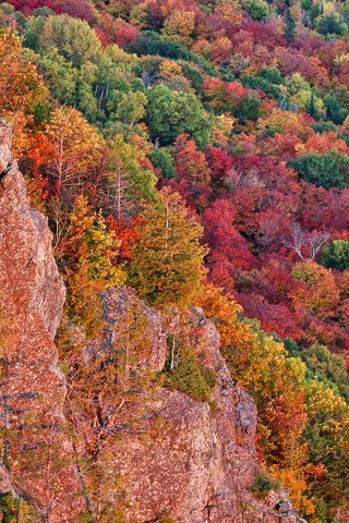 Обои деревья, скалы, лес, осень, сша, багрянец, мичиган, чиппева, trees, rocks, forest, autumn, usa, the crimson, michigan, chippewa разрешение 2048x1365 Загрузить