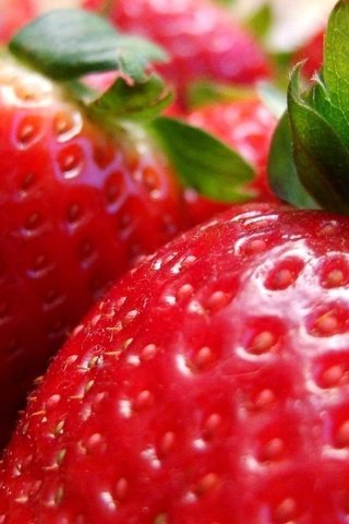 Обои ягода, еда, клубника, berry, food, strawberry разрешение 1920x1080 Загрузить