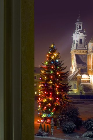 Обои елка, замок, рождество, польша, bing, краков, вавельский замок, tree, castle, christmas, poland, krakow, wawel castle разрешение 1920x1200 Загрузить