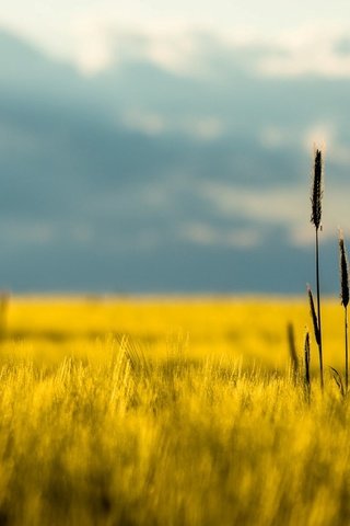 Обои горы, природа, фон, поле, лето, mountains, nature, background, field, summer разрешение 1920x1080 Загрузить