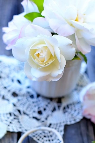 Обои цветы, розы, лепестки, букет, салфетка, натюрморт, flowers, roses, petals, bouquet, napkin, still life разрешение 2390x1992 Загрузить