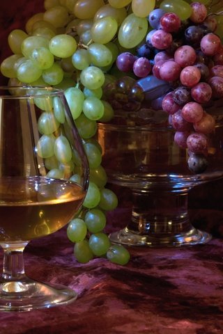 Обои виноград, бокал, ягоды, коньяк, grapes, glass, berries, cognac разрешение 2534x1619 Загрузить