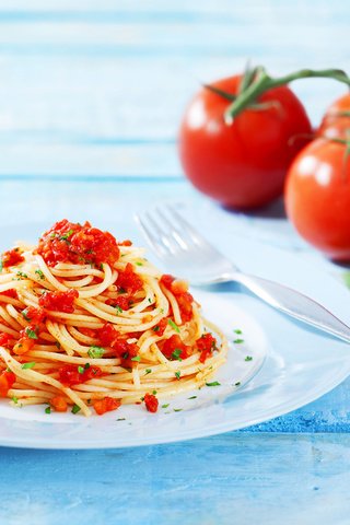 Обои вилка, тарелка, помидоры, макаронные изделия, томатный соус, plug, plate, tomatoes, pasta, tomato sauce разрешение 5616x3744 Загрузить