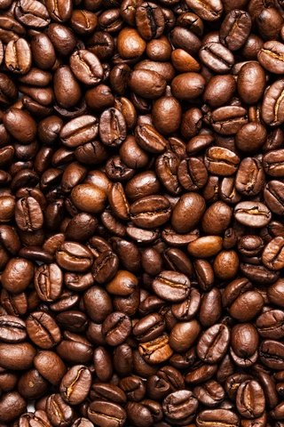 Обои зерна, кофе, семена, toasted, grain, coffee, seeds разрешение 2880x1920 Загрузить