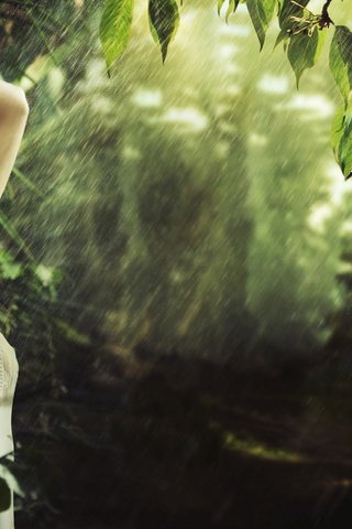 Обои лес, девушка, модель, дождь, мокрая, forest, girl, model, rain, wet разрешение 2880x1888 Загрузить