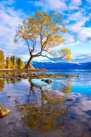 Обои вода, горы, дерево, камни, лес, отражение, оезро, water, mountains, tree, stones, forest, reflection, outro разрешение 1920x1087 Загрузить