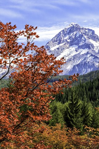 Обои деревья, горы, пейзаж, осень, trees, mountains, landscape, autumn разрешение 2000x1301 Загрузить