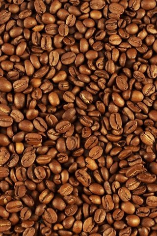 Обои узор, зерна, кофе, многим, зерна кофе, pattern, grain, coffee, many, coffee beans разрешение 1920x1200 Загрузить