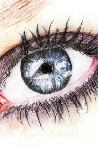 Обои глаза, лицо, глаз, живопись, ресницы, карандаш, eyes, face, painting, eyelashes, pencil разрешение 3292x2441 Загрузить