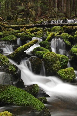 Обои вода, река, камни, зелень, лес, мох, water, river, stones, greens, forest, moss разрешение 2048x1365 Загрузить