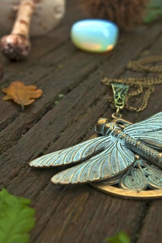 Обои стрекоза, кулон, украшение, dragonfly, pendant, decoration разрешение 2048x1371 Загрузить