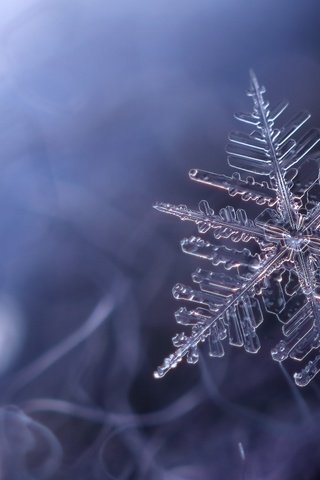 Обои снег, снежинка, звездочка, snow, snowflake, asterisk разрешение 2400x1600 Загрузить