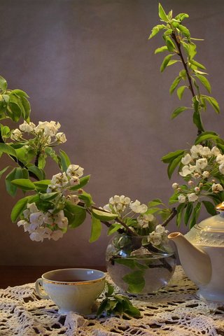 Обои цветение, ветки, чашка, чай, чайник, натюрморт, груша, flowering, branches, cup, tea, kettle, still life, pear разрешение 1920x1353 Загрузить