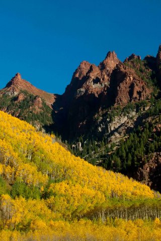 Обои деревья, горы, лес, желтые, колорадо, марун-беллс, trees, mountains, forest, yellow, colorado, maroon bells разрешение 2048x1365 Загрузить