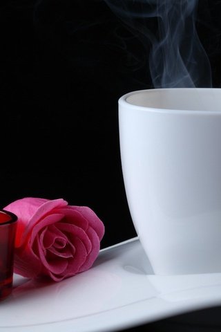 Обои фон, цветок, роза, кофе, свеча, background, flower, rose, coffee, candle разрешение 1920x1200 Загрузить