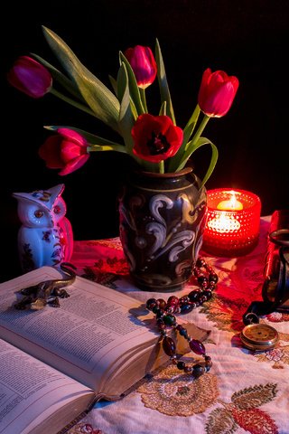 Обои цветы, книга, сова, натюрморт, стол, тульпаны, cвечи, часы, книгa, ключ, тюльпаны, ваза, свеча, flowers, book, owl, still life, table, candles, watch, key, tulips, vase, candle разрешение 3549x2632 Загрузить