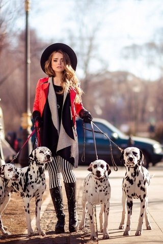 Обои девушка, красавица, модель, собаки, долматин, cобака, барышня, модел, фотосъемка, photography, girl, beauty, model, dogs, dalmatin, dog, lady разрешение 2560x1600 Загрузить