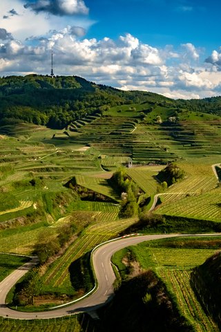 Обои дорога, облака, холмы, зелень, поля, плантации, германия, kaiserstuhl hills, road, clouds, hills, greens, field, plantation, germany разрешение 2048x1365 Загрузить