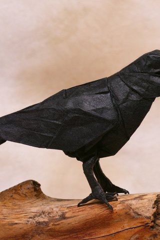 Обои бумага, птица, оригами, ворон, ворона, paper, bird, origami, raven, crow разрешение 4704x3136 Загрузить