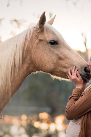 Обои лошадь, природа, девушка, настроение, профиль, конь, поцелуй, длинные волосы, horse, nature, girl, mood, profile, kiss, long hair разрешение 2048x1368 Загрузить