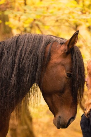 Обои лошадь, рыжеволосая, девушка, настроение, осень, модель, лицо, конь, грива, длинные волосы, long hair, horse, redhead, girl, mood, autumn, model, face, mane разрешение 2048x1365 Загрузить