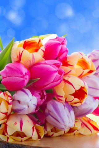 Обои цветы, букет, тюльпаны, flowers, bouquet, tulips разрешение 2560x1600 Загрузить