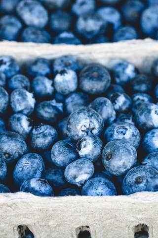 Обои ягоды, черника, черничный, berries, blueberries, blueberry разрешение 1920x1280 Загрузить