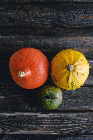 Обои еда, осень, овощи, тыквы, дерева, опадают, осен, pumpkins, food, autumn, vegetables, pumpkin, wood, fall разрешение 2560x1600 Загрузить