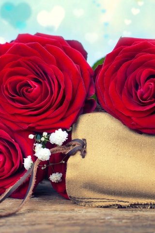 Обои цветы, розы, букет, открытка, дерева,  цветы, роз, гипсофила, flowers, roses, bouquet, postcard, wood, gypsophila разрешение 6360x4240 Загрузить