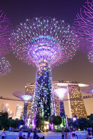 Обои ночь, огни, мегаполис, парки, сингапур, gardens by the bay, marina bay sands, night, lights, megapolis, parks, singapore разрешение 2048x1365 Загрузить