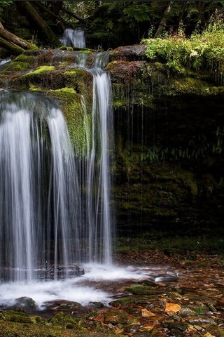 Обои лес, ручей, водопад, мох, forest, stream, waterfall, moss разрешение 1920x1433 Загрузить