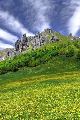 Обои небо, цветы, трава, облака, скала, гора, the sky, flowers, grass, clouds, rock, mountain разрешение 2048x1108 Загрузить