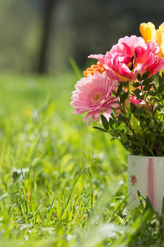 Обои трава, кружка, букет, тюльпаны, герберы, grass, mug, bouquet, tulips, gerbera разрешение 2048x1362 Загрузить