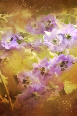 Обои цветы, сиреневый, дельфиниум, flowers, lilac, delphinium разрешение 4000x2148 Загрузить