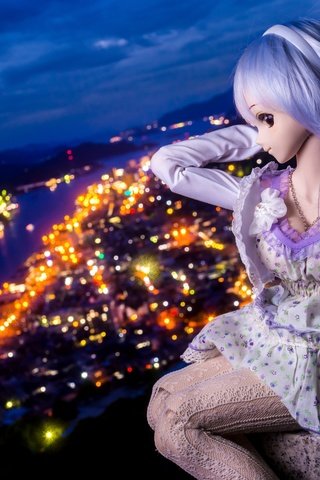 Обои ночь, огни, девушка, город, кукла, night, lights, girl, the city, doll разрешение 3600x2400 Загрузить