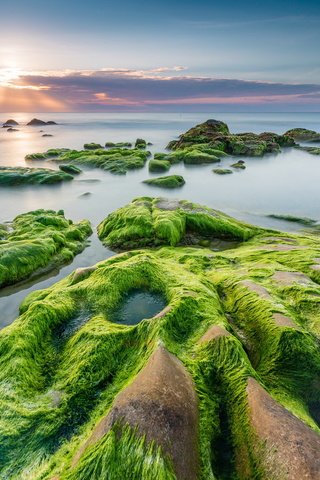 Обои камни, берег, закат, море, водоросли, stones, shore, sunset, sea, algae разрешение 2047x1315 Загрузить