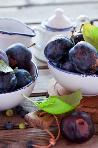 Обои фрукты, стол, ягоды, листики, чашки, сливы, fruit, table, berries, leaves, cup, plum разрешение 2000x1299 Загрузить