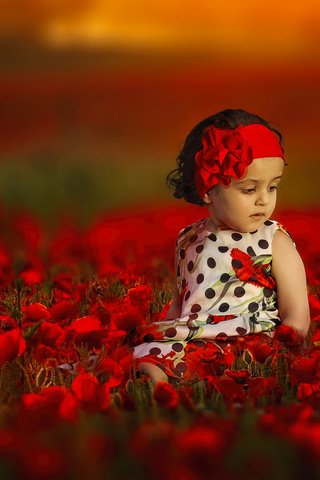 Обои цветы, настроение, маки, девочка, повязка, боке, flowers, mood, maki, girl, headband, bokeh разрешение 2048x1367 Загрузить