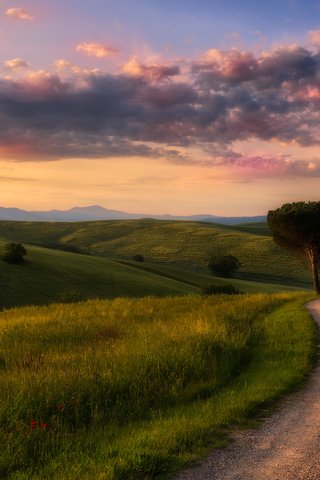 Обои небо, дорога, трава, облака, деревья, природа, утро, the sky, road, grass, clouds, trees, nature, morning разрешение 2048x1367 Загрузить