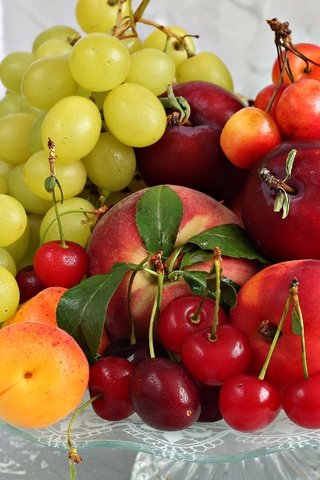 Обои виноград, фрукты, черешня, абрикос, нектарин, grapes, fruit, cherry, apricot, nectarine разрешение 2400x1668 Загрузить