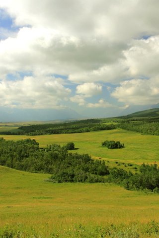 Обои облака, горы, лес, поля, канада, луга, провинция альберта, clouds, mountains, forest, field, canada, meadows, alberta разрешение 3200x1900 Загрузить