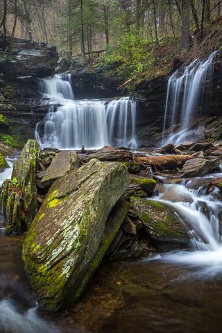 Обои деревья, камни, лес, ручей, водопад, сша, мох, ricketts glen state park, trees, stones, forest, stream, waterfall, usa, moss разрешение 3209x2000 Загрузить